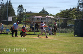 Softball052-gallery1510_Dec4125447.jpg image