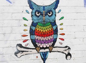 street_art_owl_feature_small_web-gallery9410_May2084321-gallery9413_May2084658.jpg image