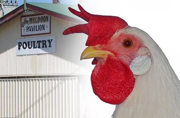 Lismore Poultry Club