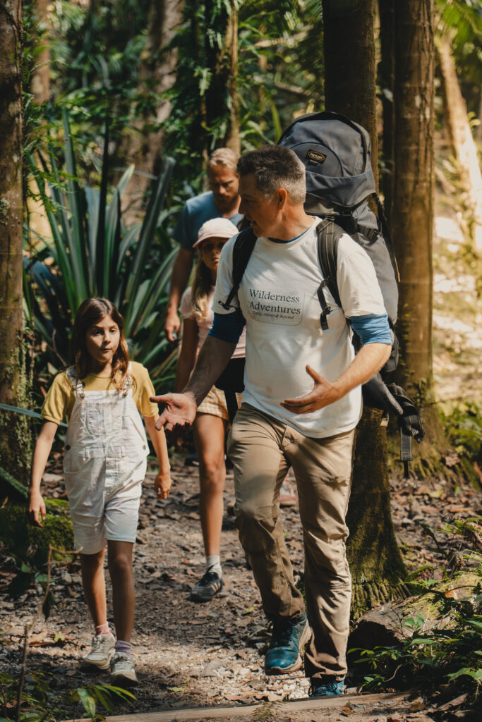 Rainforest Walks